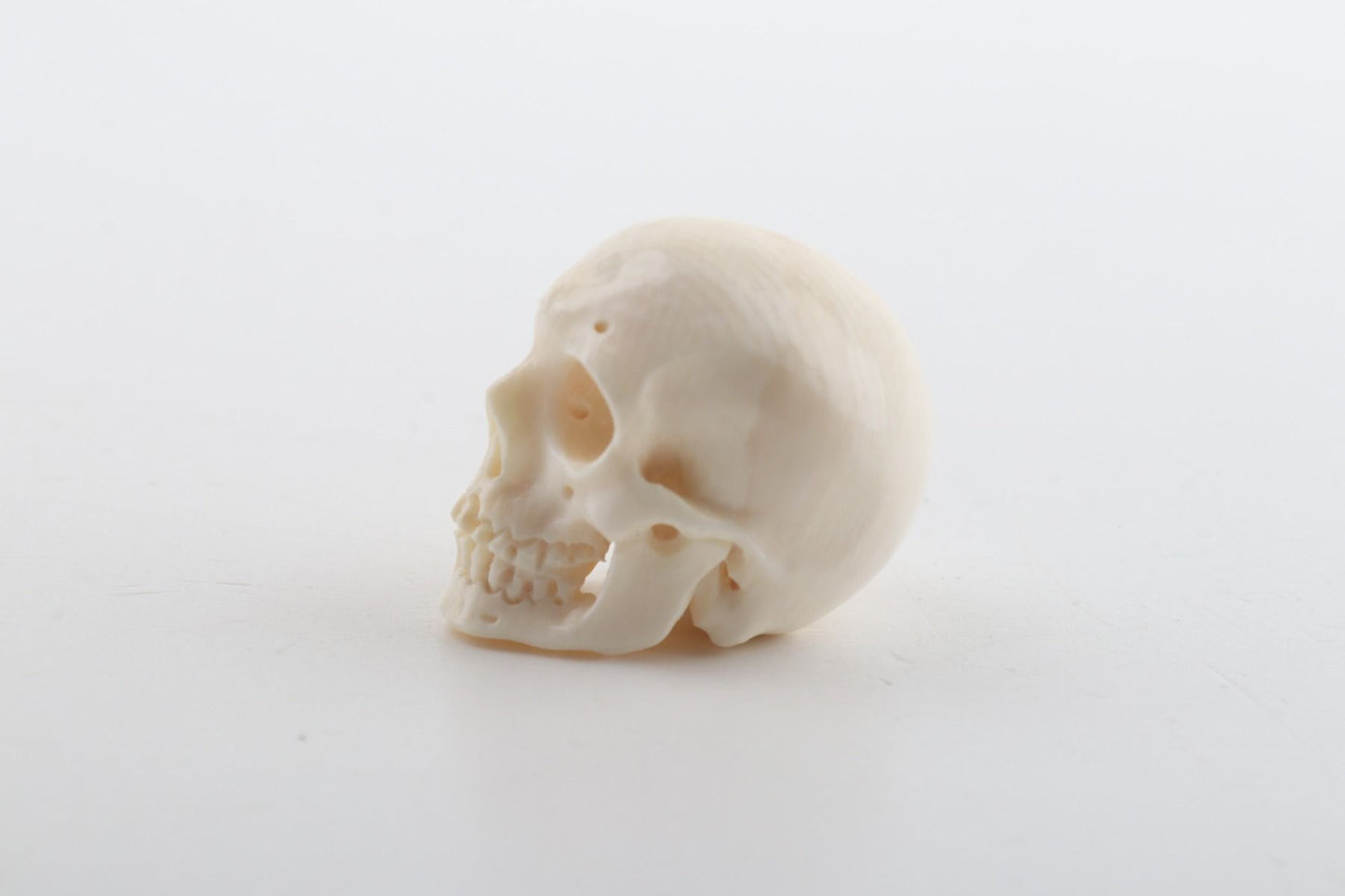 Hand carved mammoth ivory skull