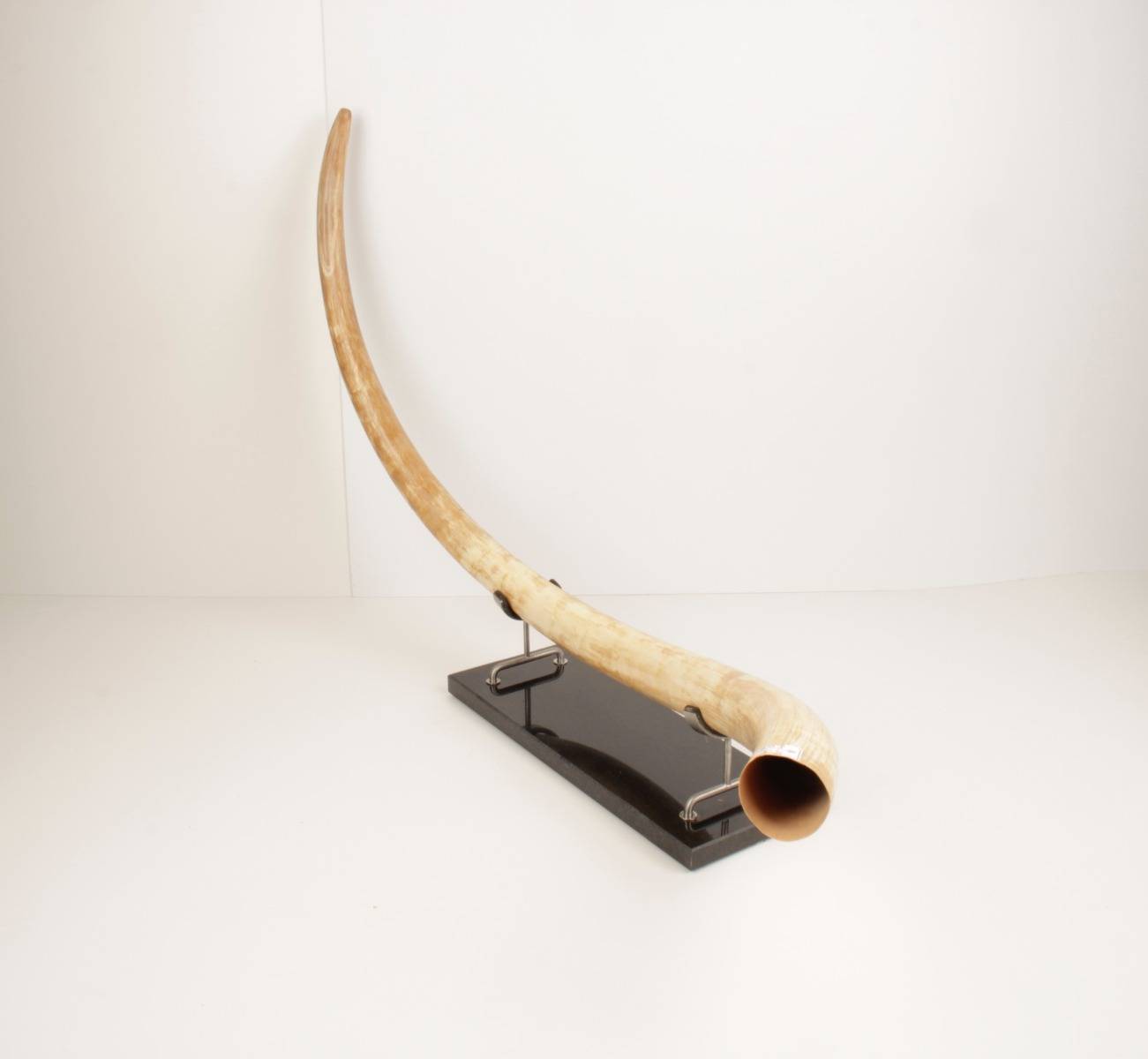 Natural woolly mammoth tusk