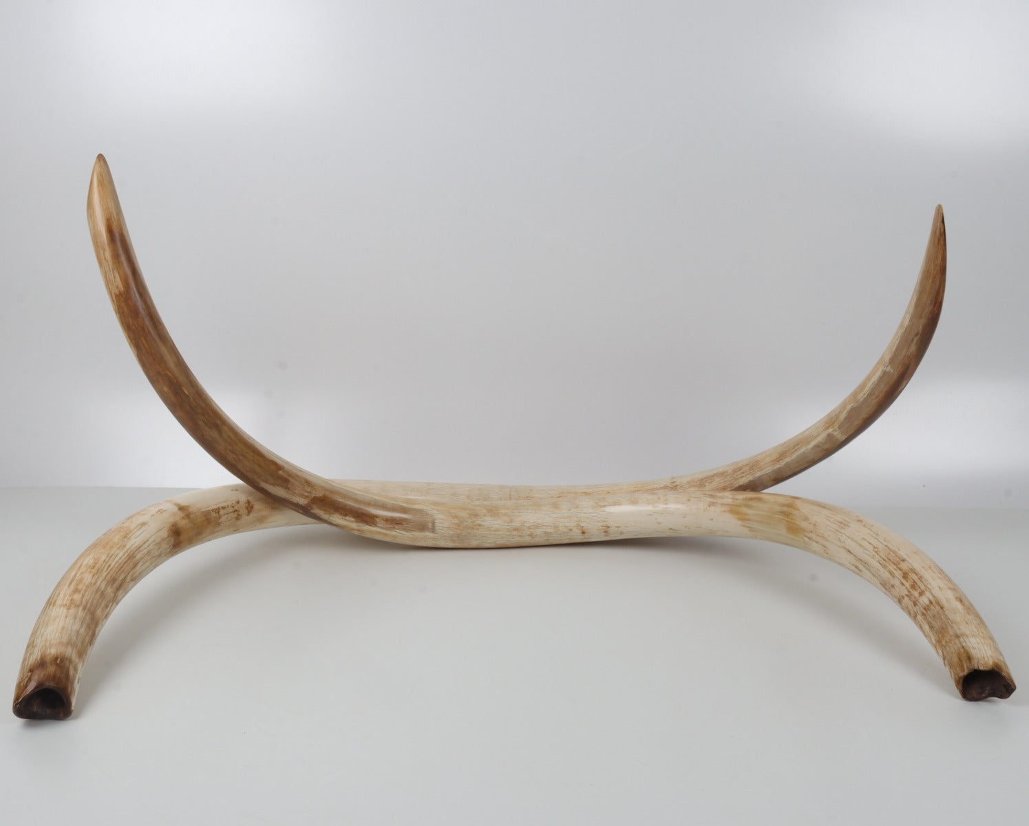 Natural woolly mammoth tusk pair