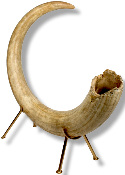 Tusks