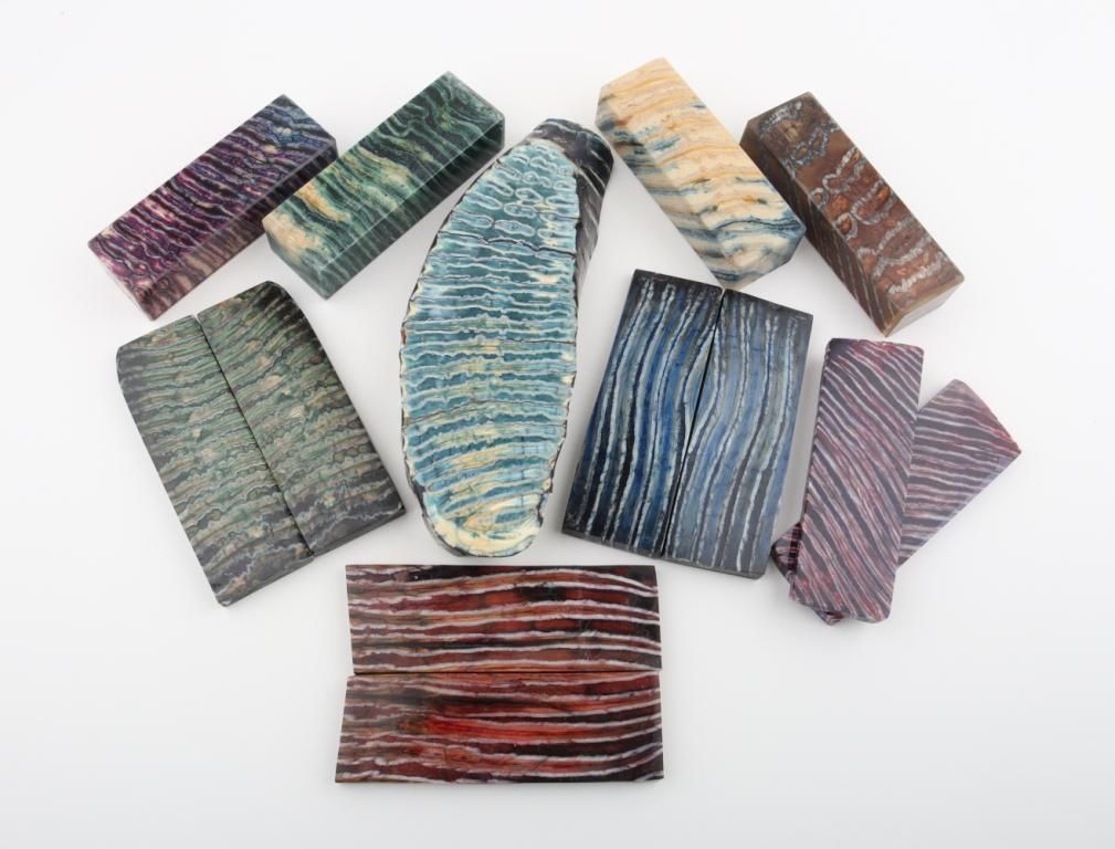 Processing Stabilised Mammoth Molars