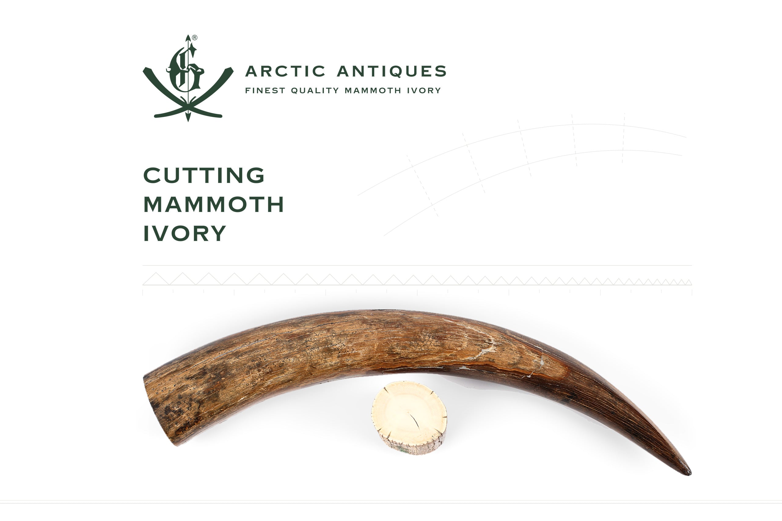 Cutting Mammoth Ivory