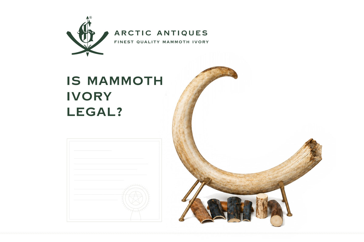 Is Mammoth Ivory Legal? A Buyer's Guide to CITES, National Law and Customs