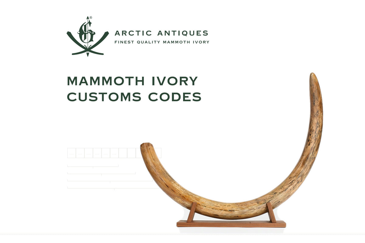 Mammoth Ivory Customs Codes: HS Classification for Raw, Worked and Finished Products