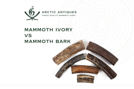 Mammoth Ivory vs Mammoth Bark: What is the Difference?