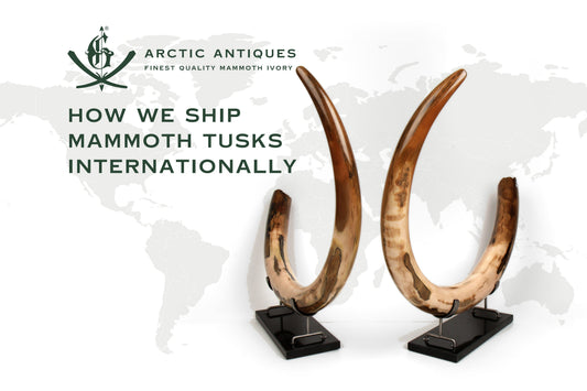 How We Ship Mammoth Tusks Internationally