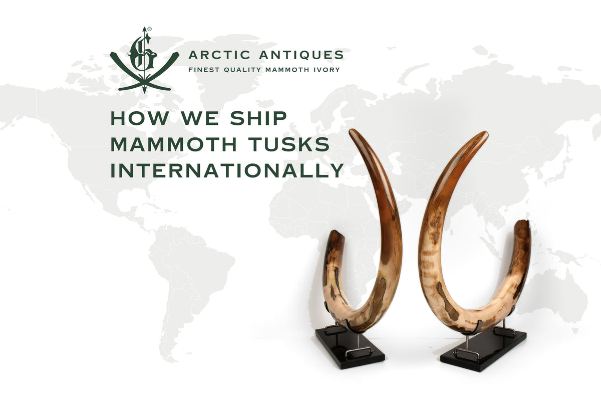 How We Ship Mammoth Tusks Internationally