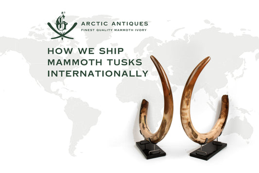 How We Ship Mammoth Tusks Internationally