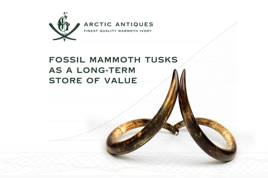 Fossil Mammoth Tusks as a Long-Term Store of Value: A Collector's Guide to Tangible Assets