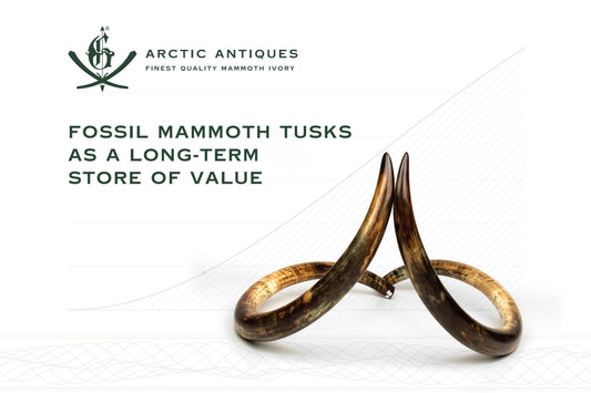 Fossil Mammoth Tusks as a Long-Term Store of Value: A Collector's Guide to Tangible Assets