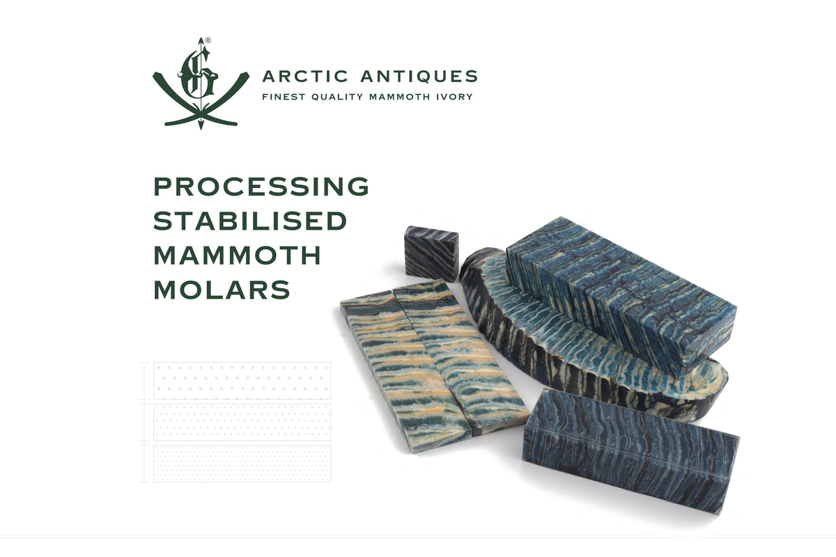 Processing Stabilised Mammoth Molars