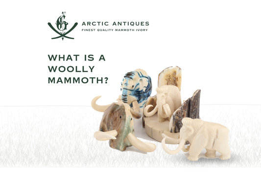 What is a Woolly Mammoth?