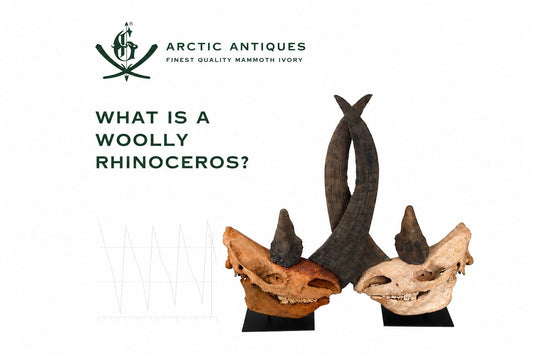 What Is a Woolly Rhinoceros?