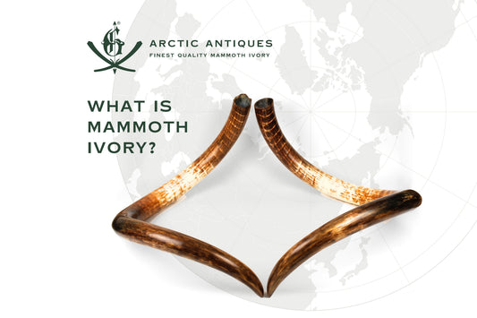What is Mammoth Ivory?