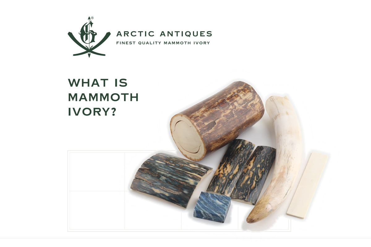 What Is Mammoth Ivory?