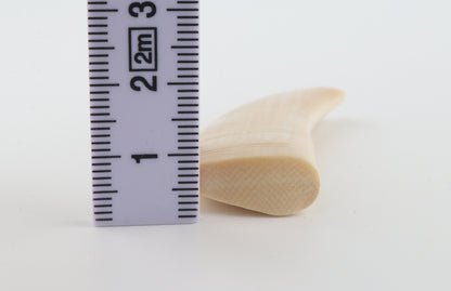 Carved mammoth ivory pendant