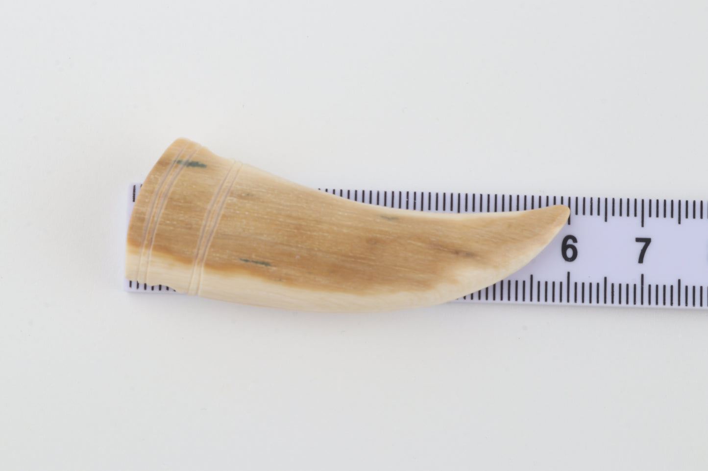 Carved mammoth ivory pendant