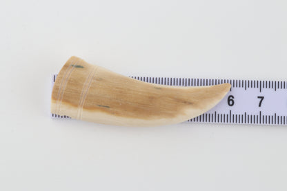 Carved mammoth ivory pendant