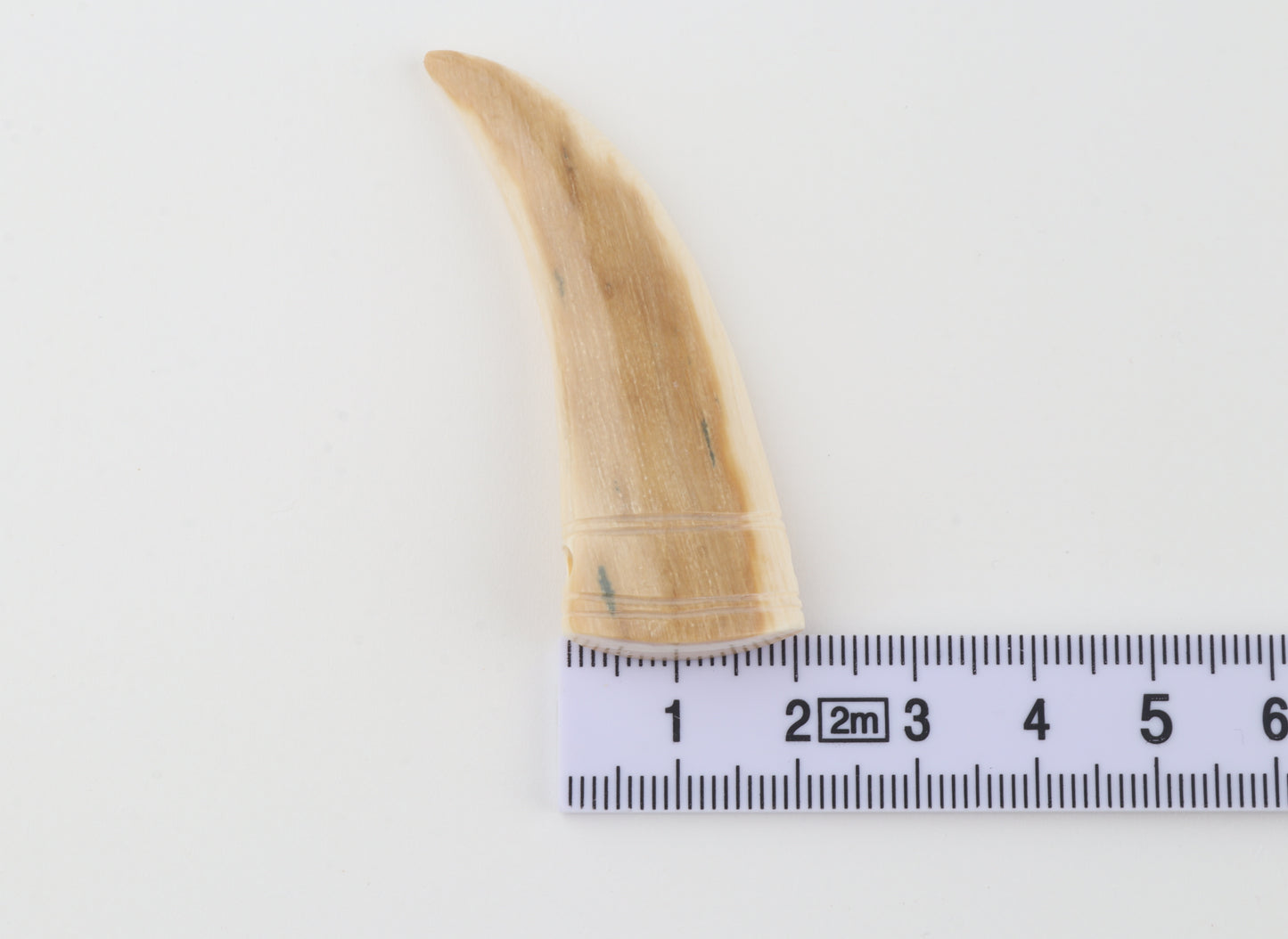 Carved mammoth ivory pendant