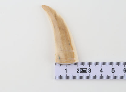 Carved mammoth ivory pendant