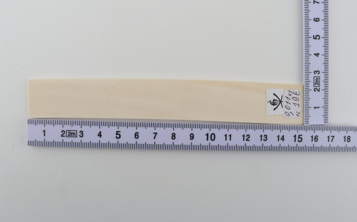 White mammoth ivory segment
