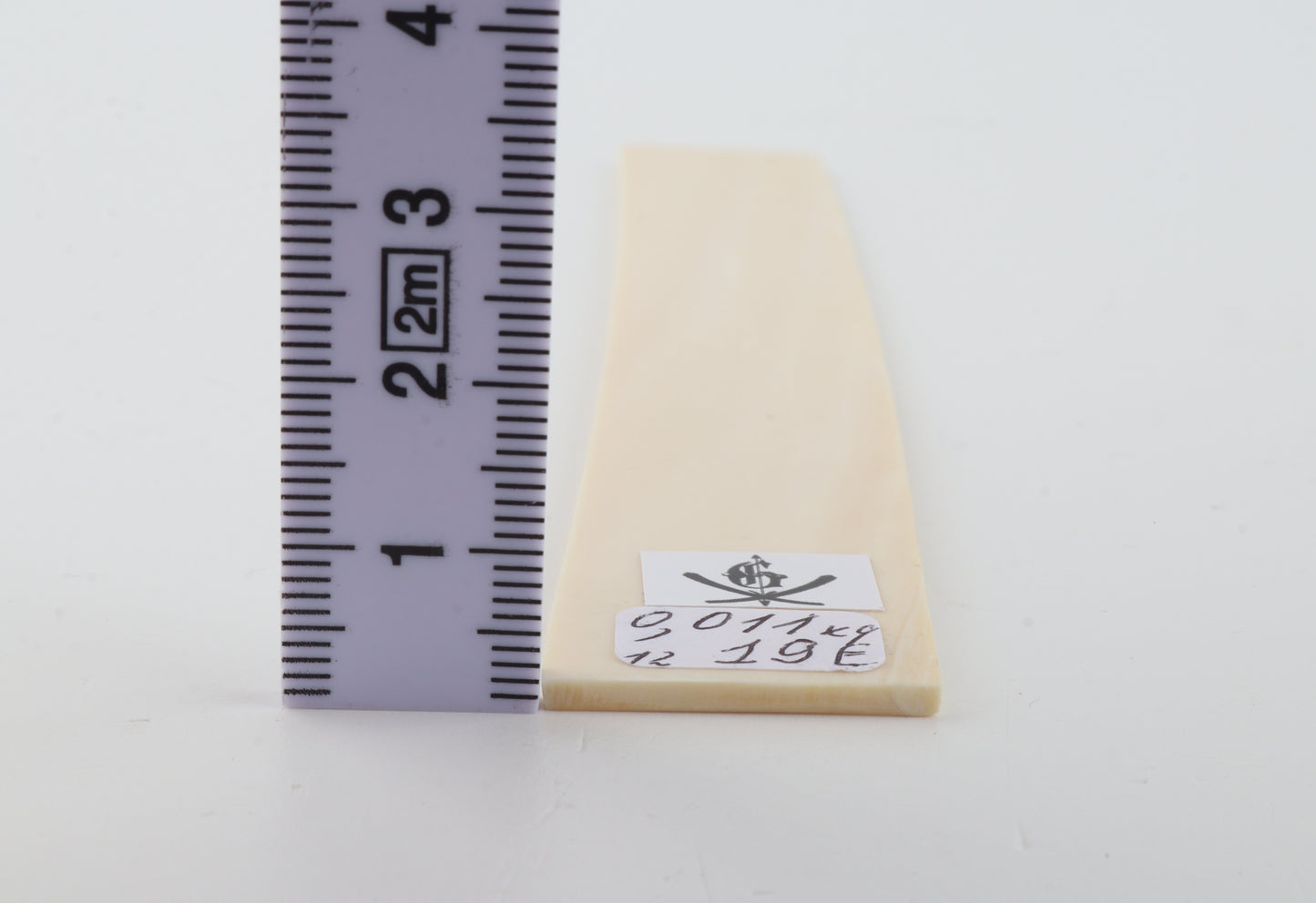 White mammoth ivory segment