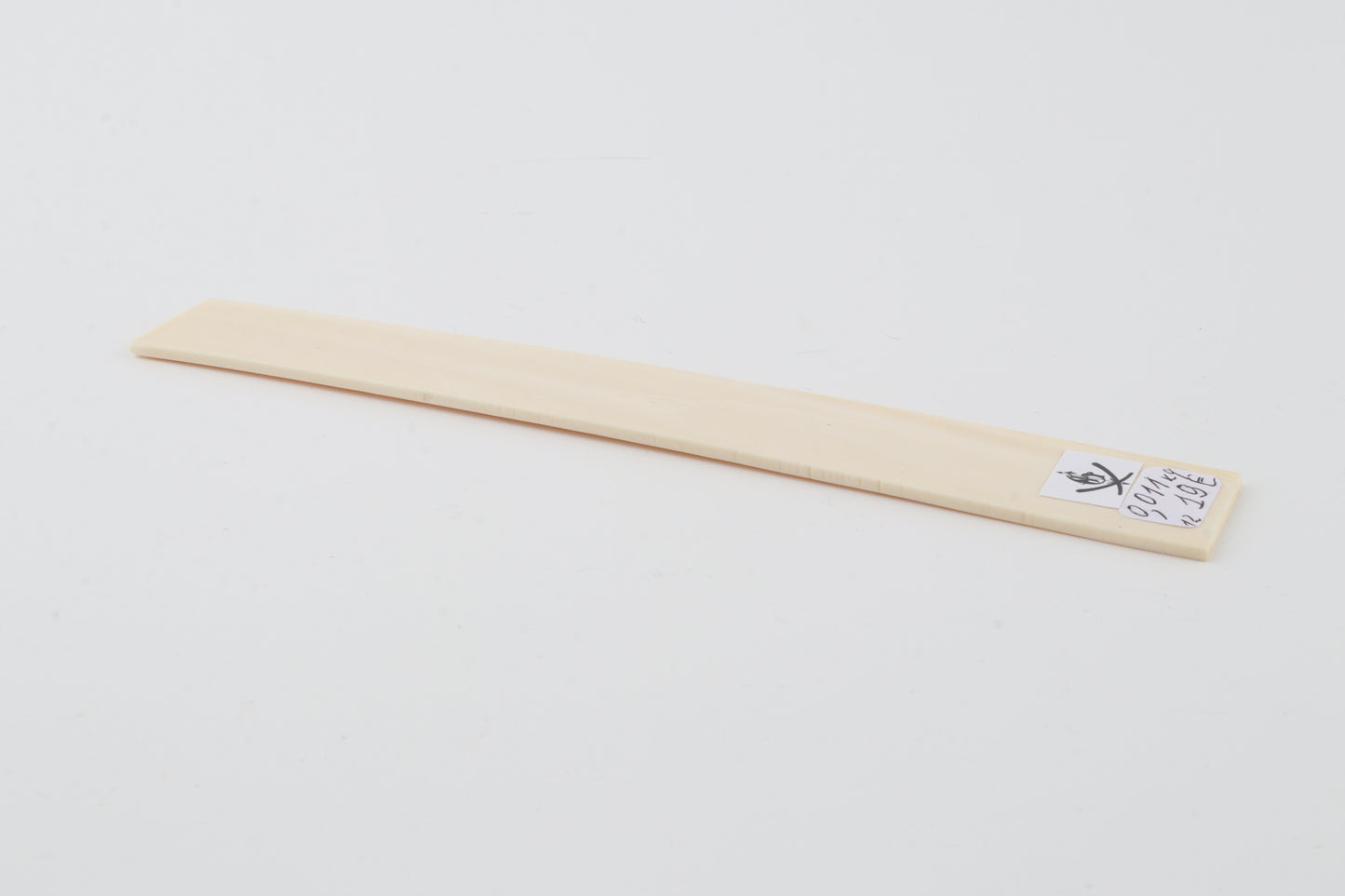 White mammoth ivory segment