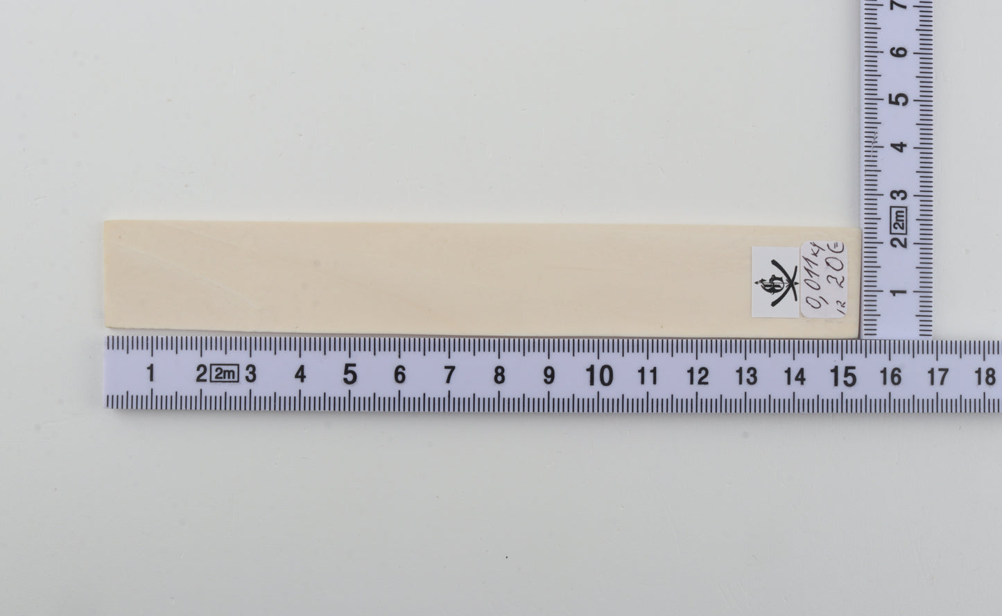 White mammoth ivory segment