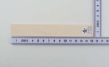 White mammoth ivory segment