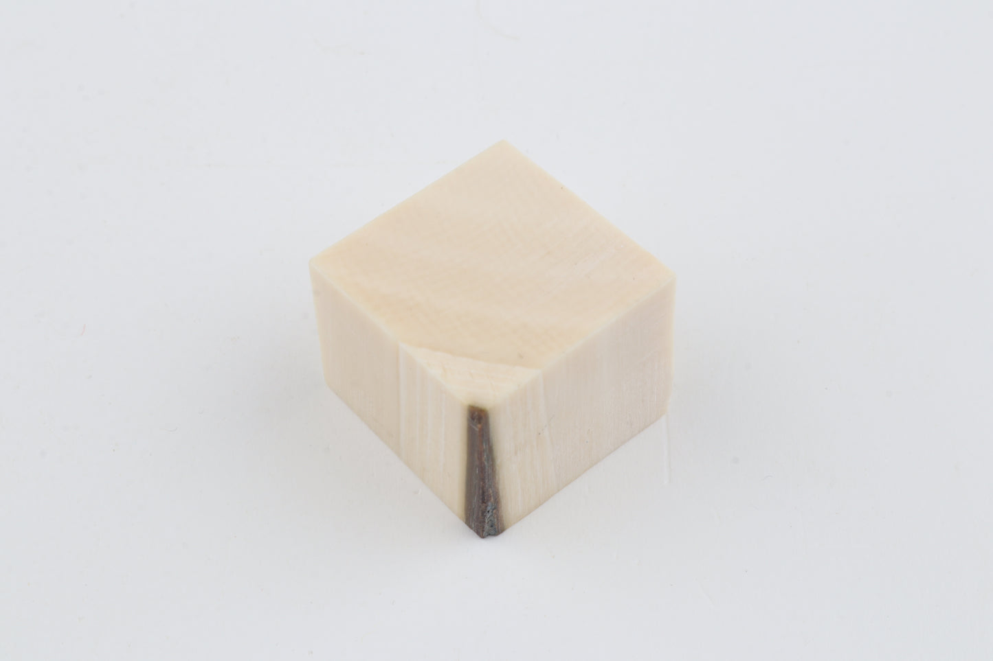 White mammoth ivory segment