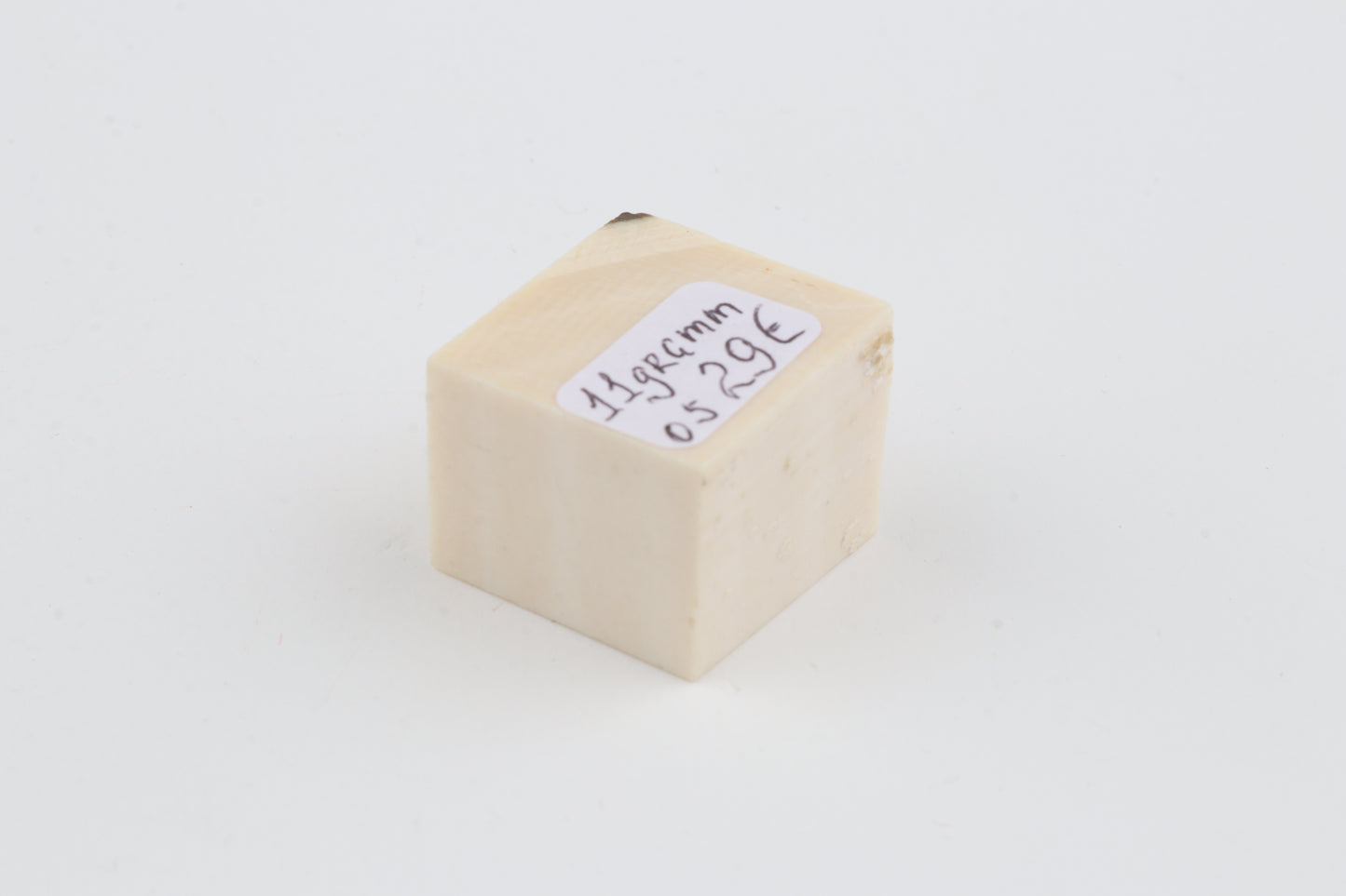 White mammoth ivory segment