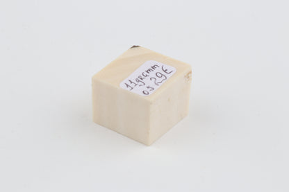 White mammoth ivory segment