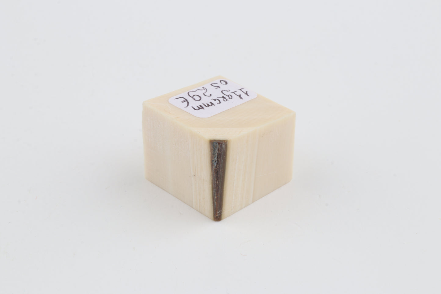 White mammoth ivory segment