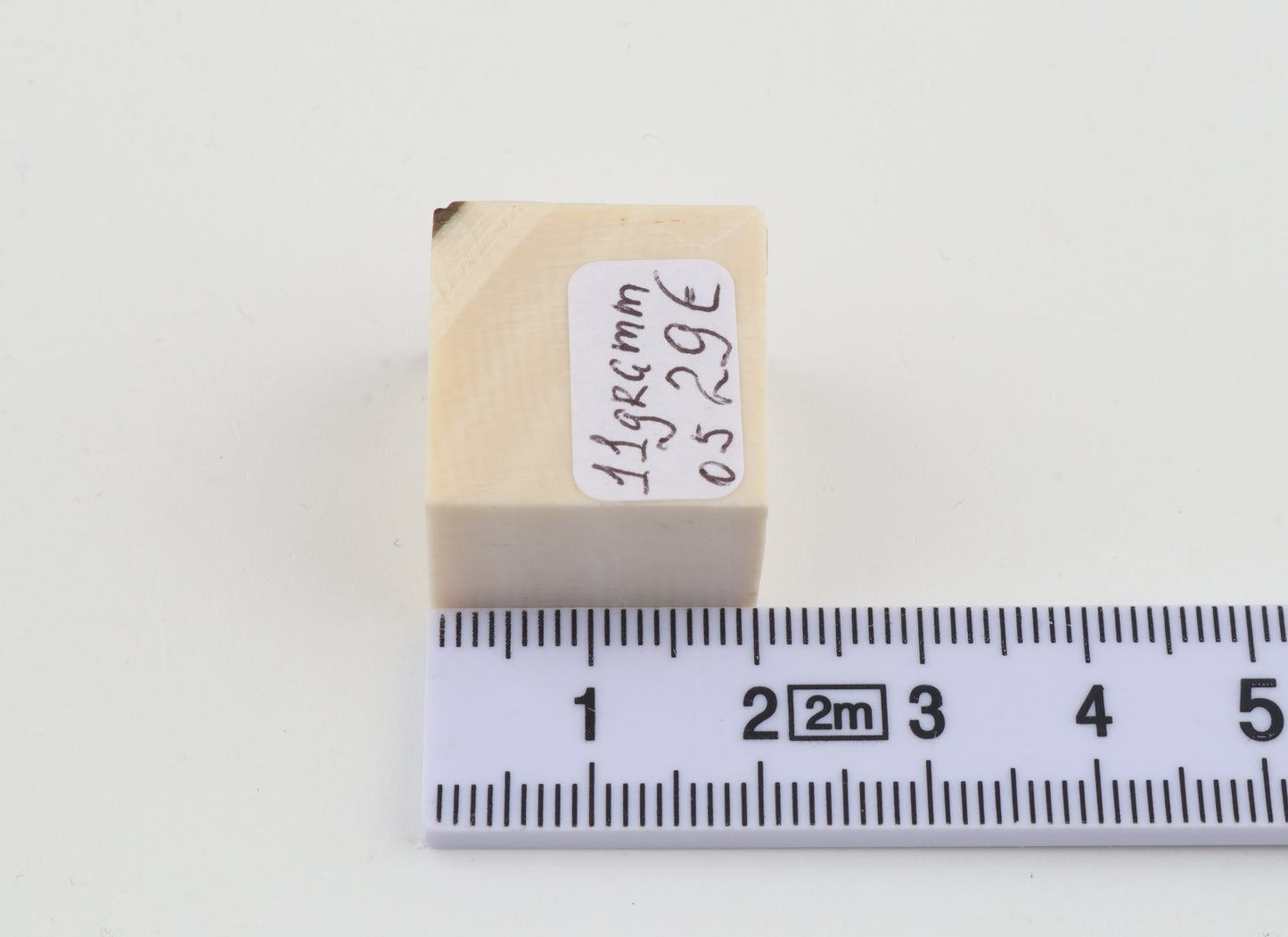 White mammoth ivory segment