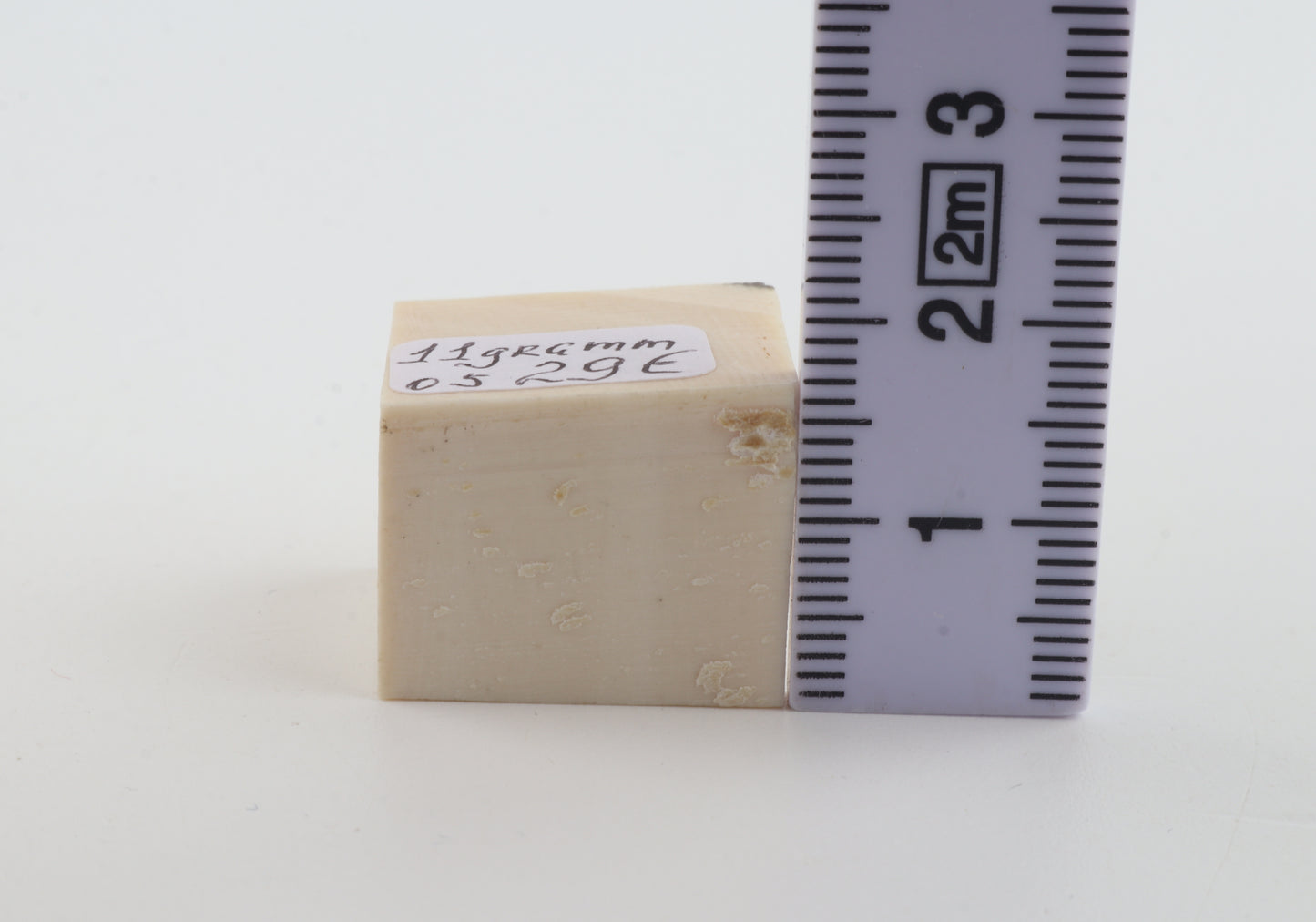 White mammoth ivory segment