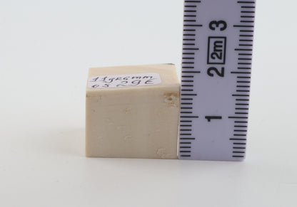 White mammoth ivory segment