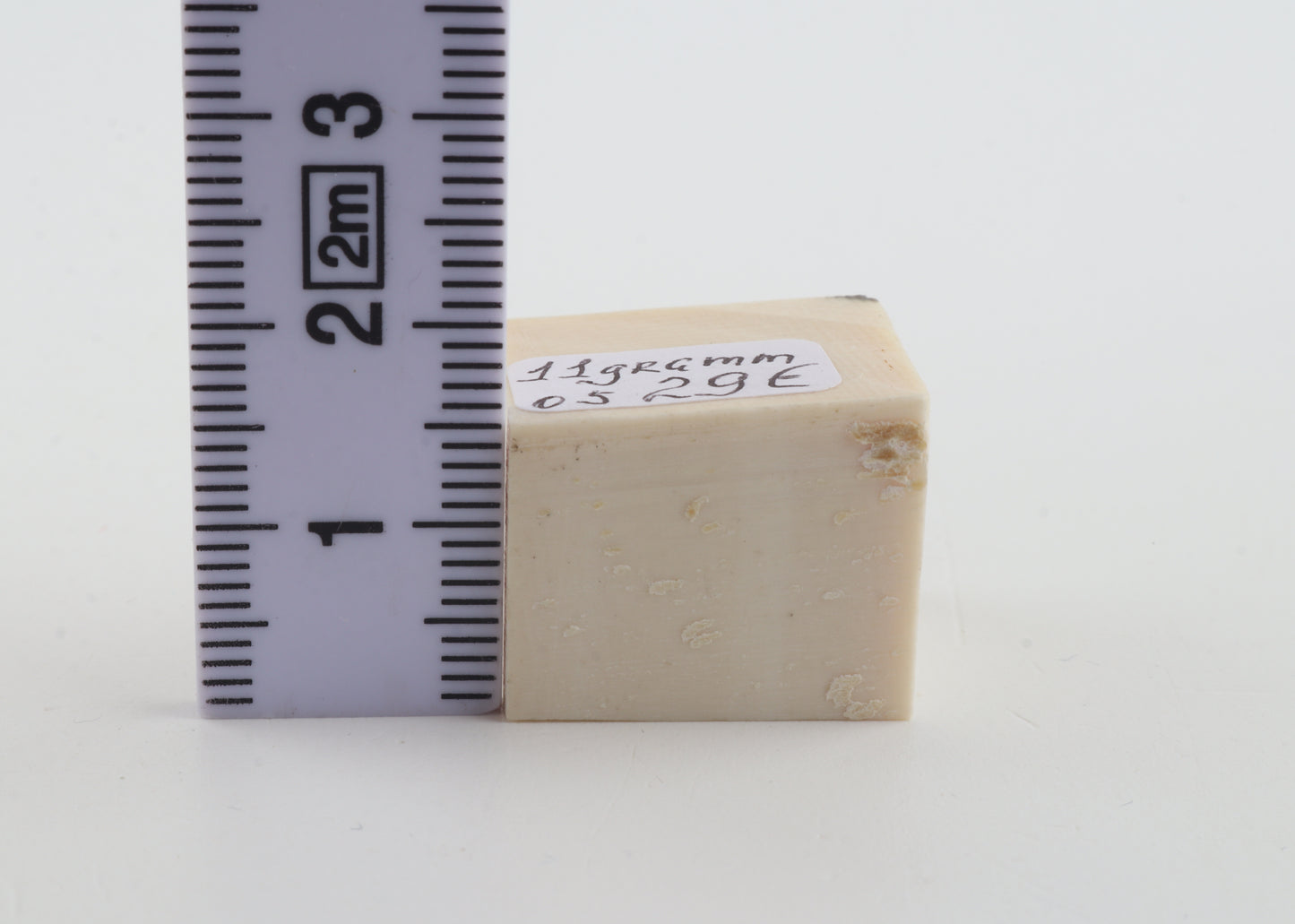White mammoth ivory segment