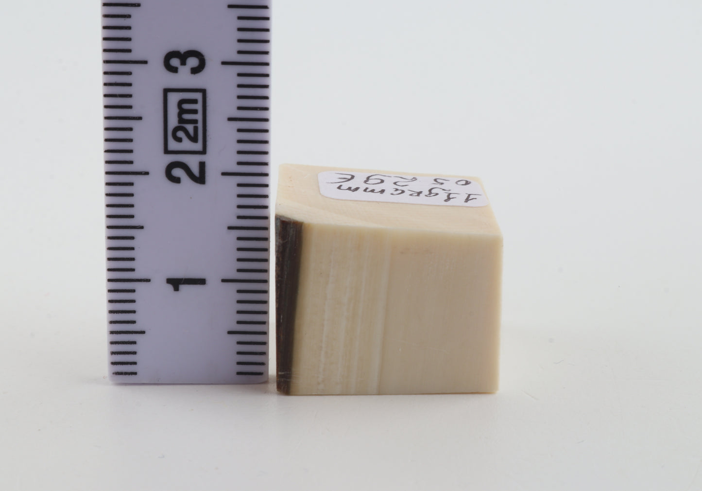 White mammoth ivory segment