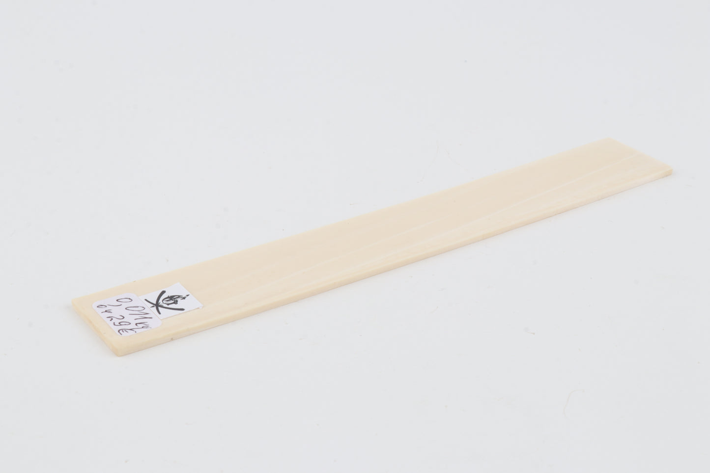 White mammoth ivory segment