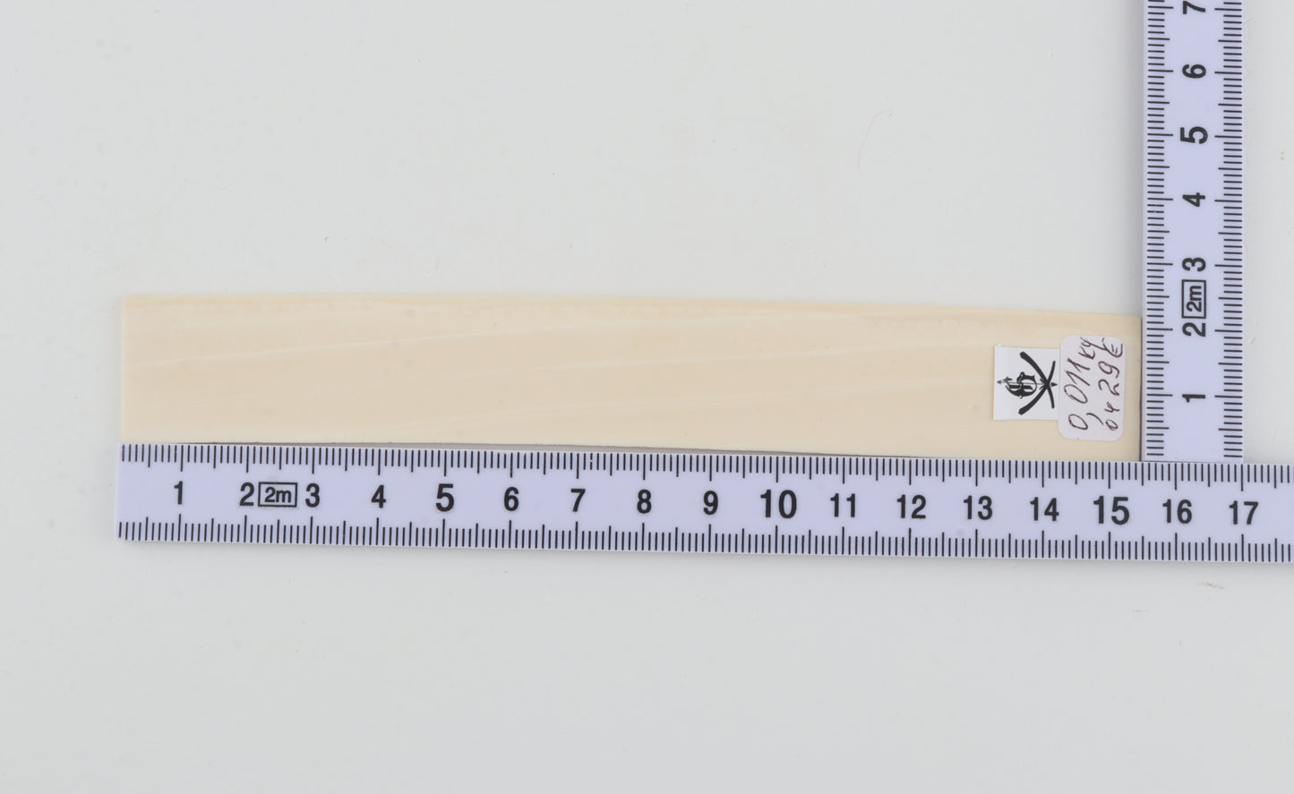 White mammoth ivory segment