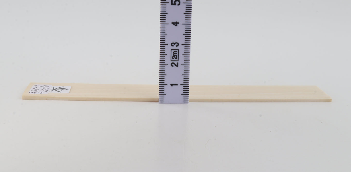 White mammoth ivory segment