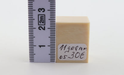 White mammoth ivory segment