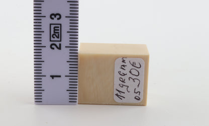 White mammoth ivory segment