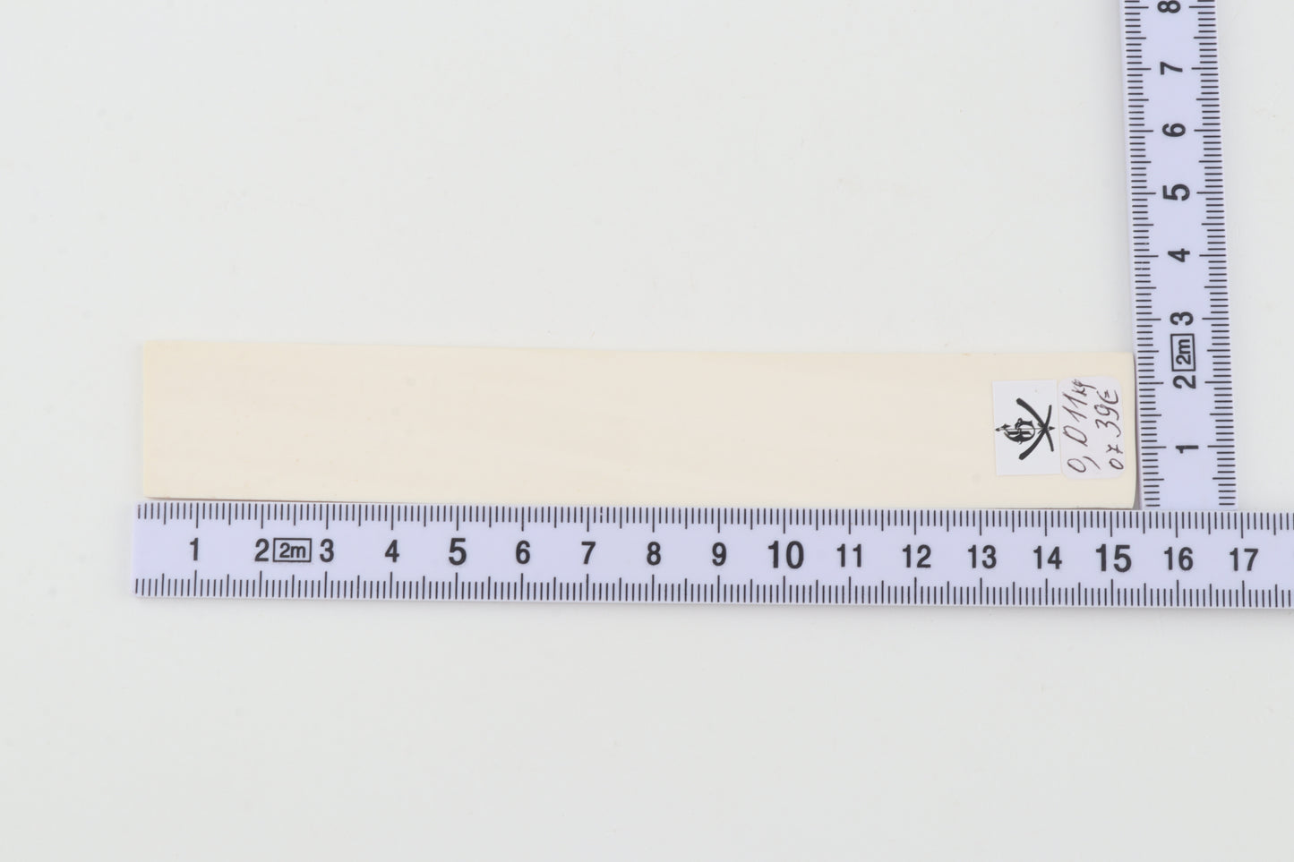 White mammoth ivory segment