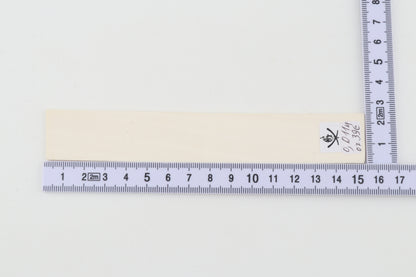 White mammoth ivory segment