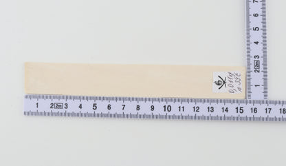White mammoth ivory segment