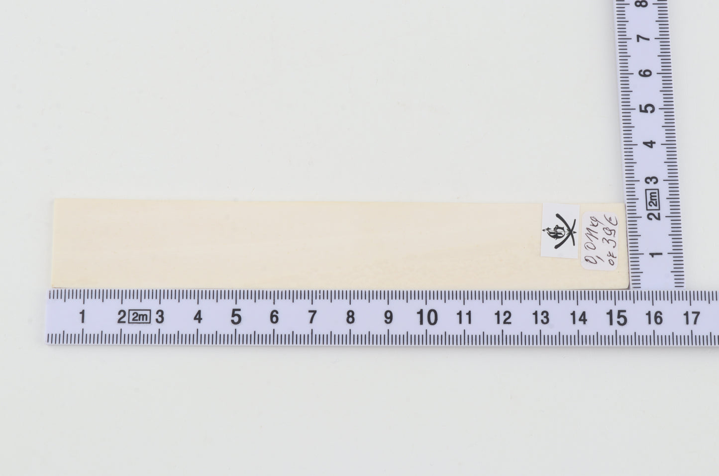 White mammoth ivory segment