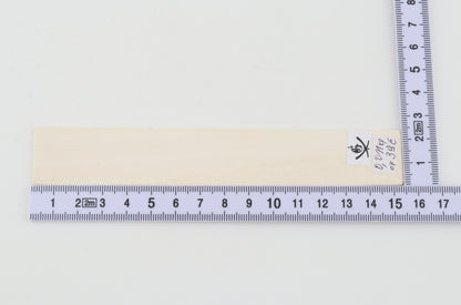 White mammoth ivory segment