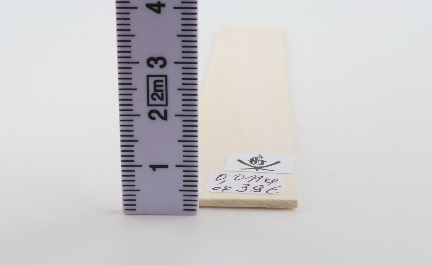 White mammoth ivory segment