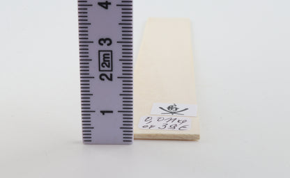 White mammoth ivory segment